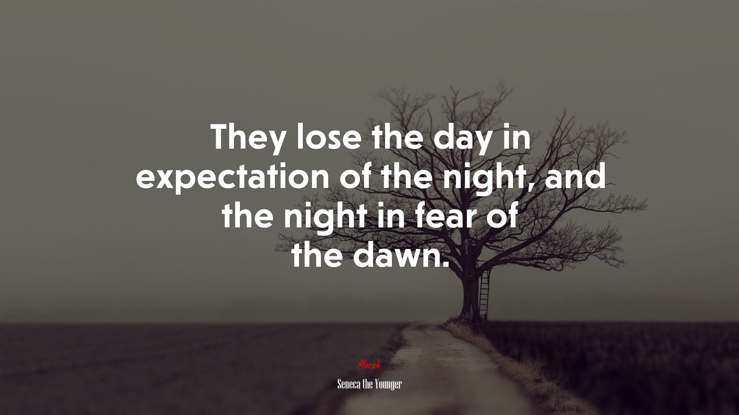 Quotes On Expectations