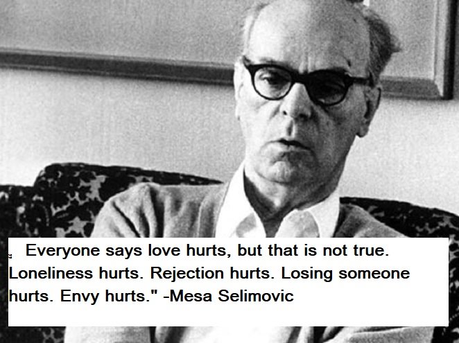 Mesa Selimovic Quotes