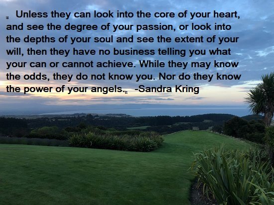 Sandra Kring Quotes