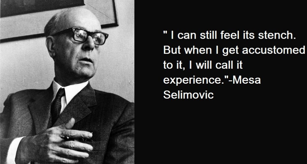 Mesa Selimovic Quotes