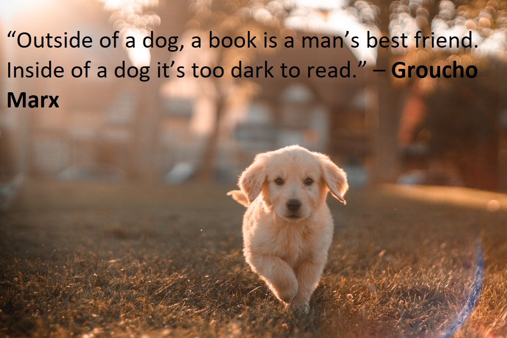 Quotes about Dogs