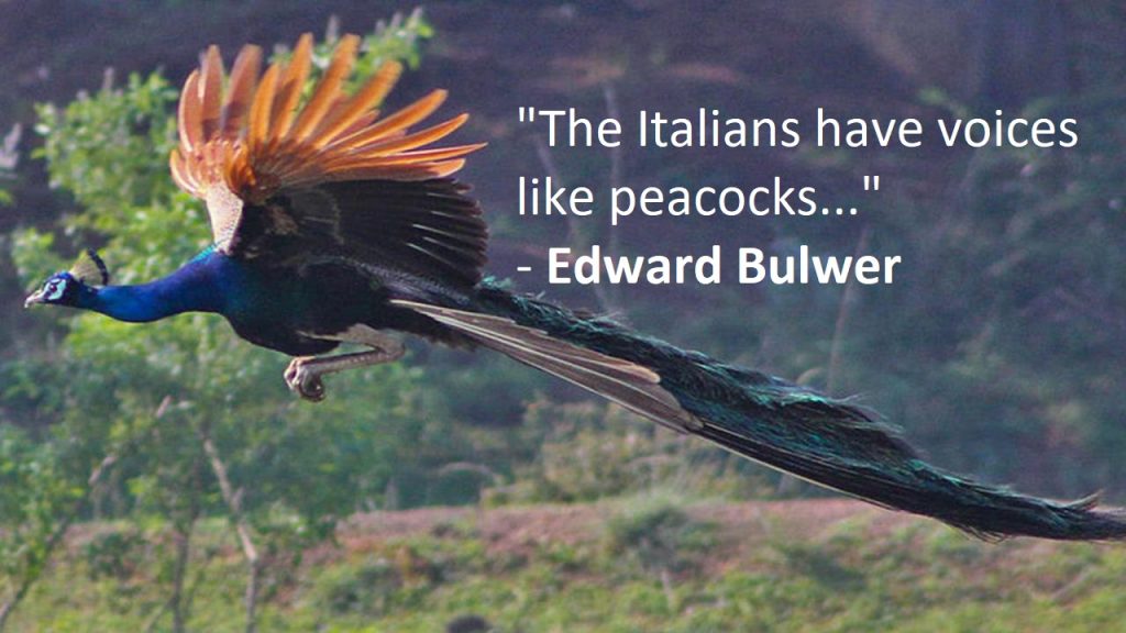 Peacock Quotes