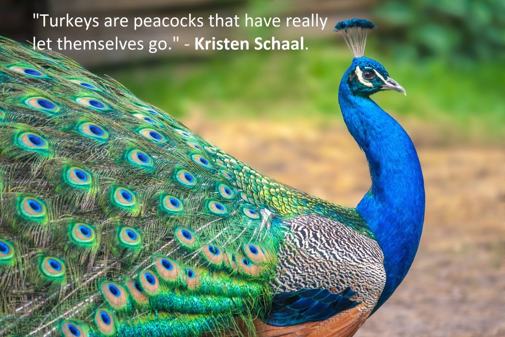 Peacock Quotes