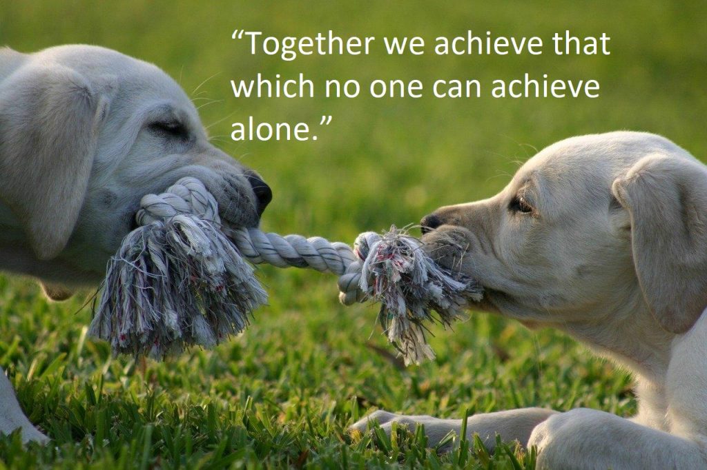 Tug Of War Quotes