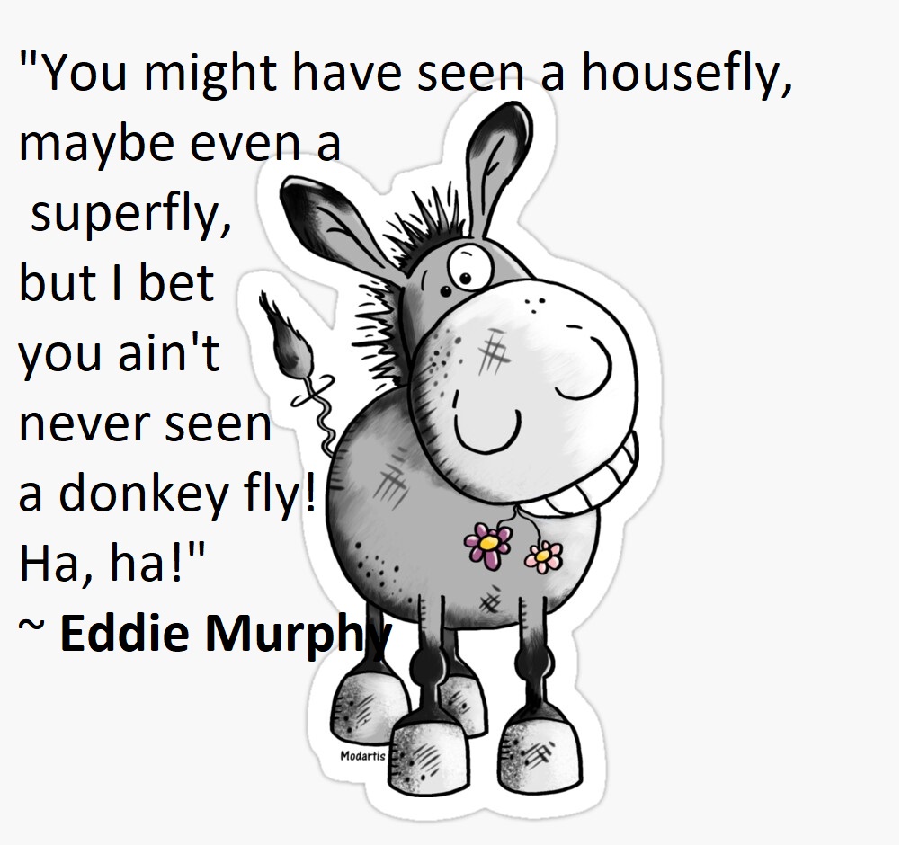 Funny Donkey Quotes