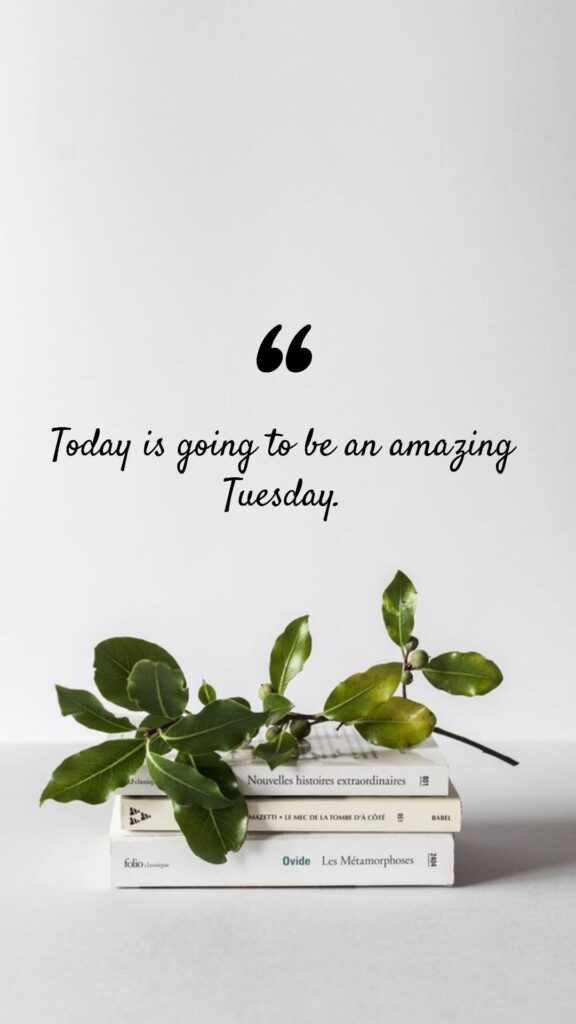Tuesday Affirmations