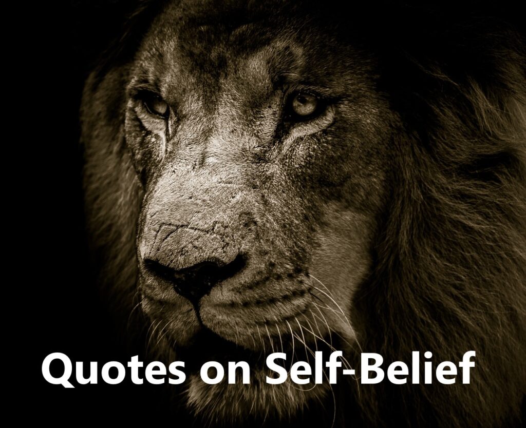 Quotes on Self-Belief