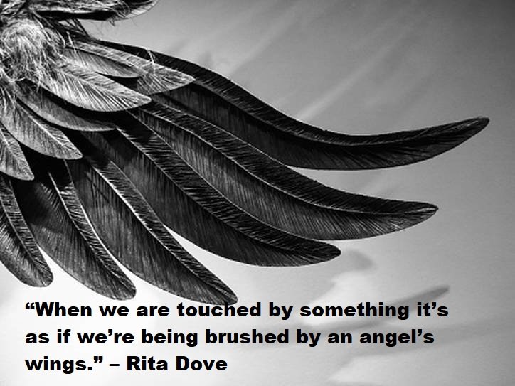 Angel Quotes