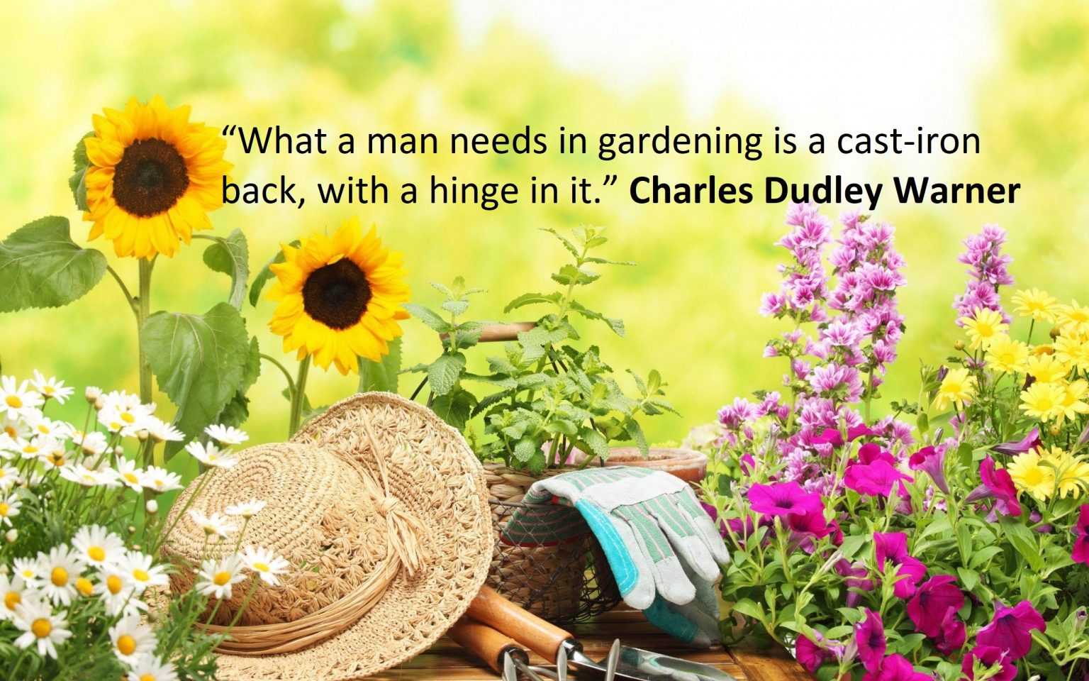 50 Inspirational Gardening Quotes and Proverbs