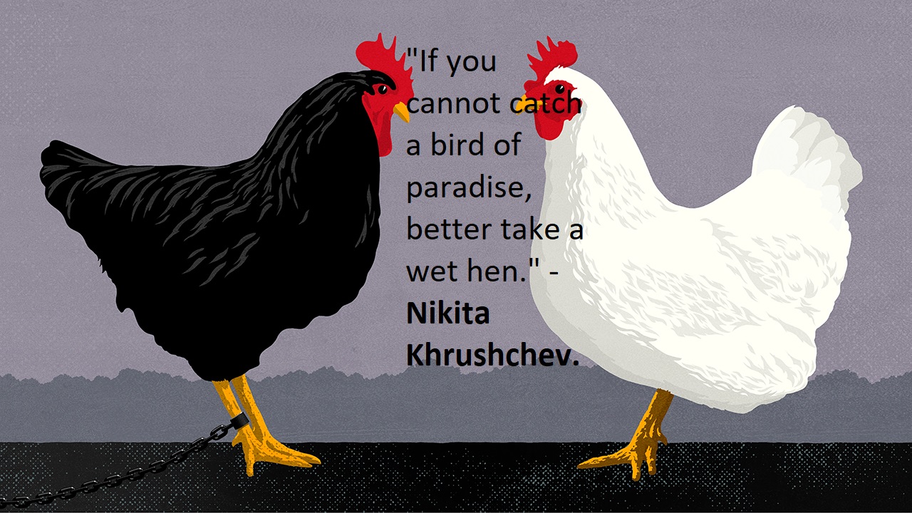 63 Amazing Chicken Quotes, Phrases, and Proverbs | Inspirationalweb.org