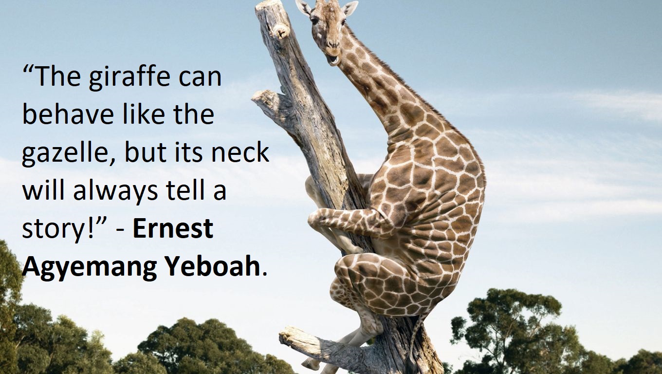 35 Funny Giraffe Quotes and Sayings | Inspirationalweb.org