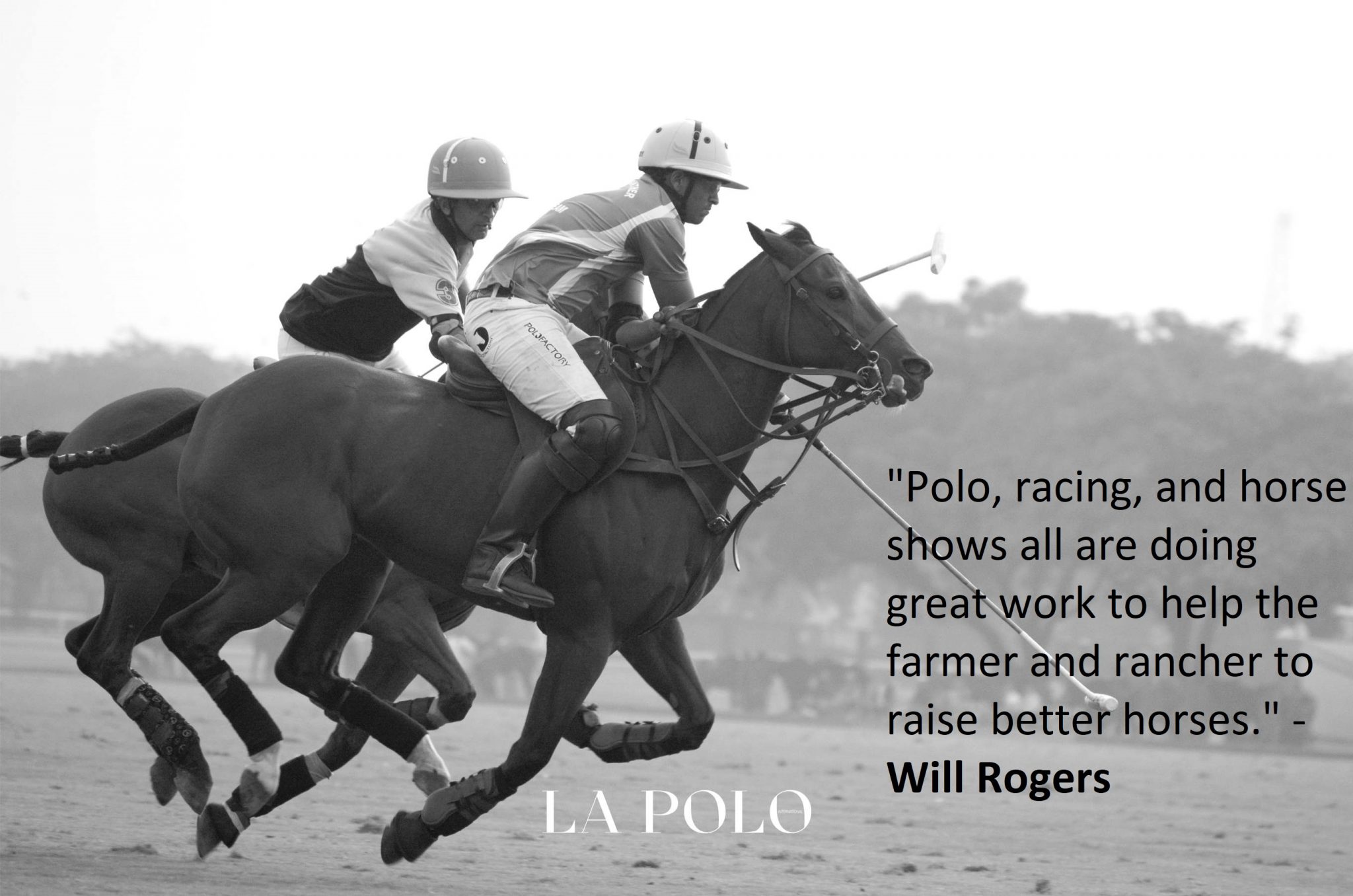 21 Inspirational Polo Quotes to Love Sportsmanship