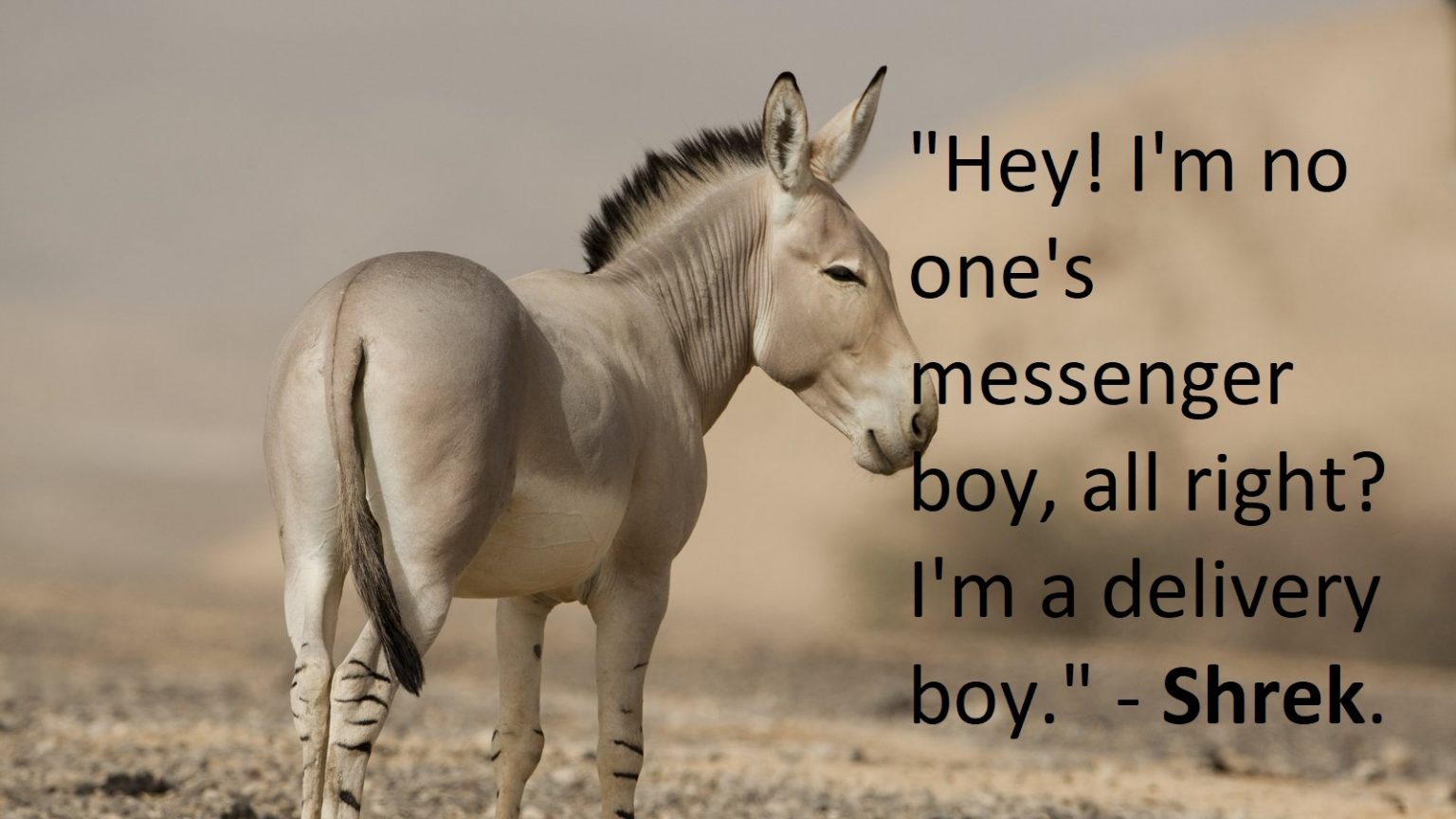 50 Hilariously Funny Donkey Quotes | Inspirationalweb.org